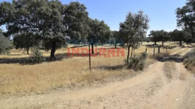 Rustic Finca in Millanes photo 10