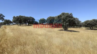 Finca rústica en venta en Millanes - Vista 4