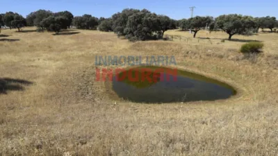 Finca rústica en venta en Millanes - Vista 5