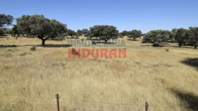 Rustic Finca in Millanes photo 6