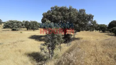Rustic Finca in Millanes photo 7