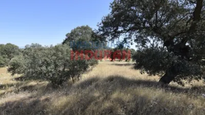 Rustic Finca in Millanes photo 9