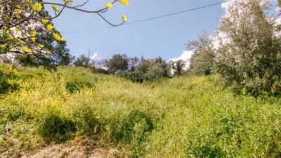 Finca rústica en Coín photo 17