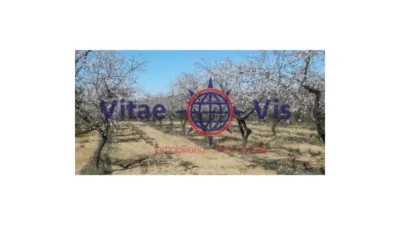 Finca rústica en venta en Carretera de la Parroquia - Näkymä 4