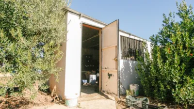 Rustic Finca in Coín photo 30