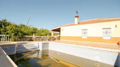 Rustic Finca in Coín photo 3