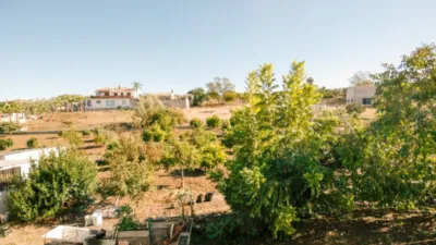 Rustic Finca in Coín photo 6