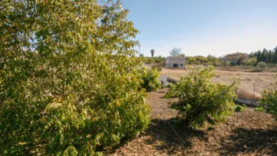 Rustic Finca in Coín photo 7