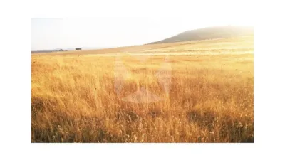 Finca rústica en venta en Sierra de Fuentes - Vista 4