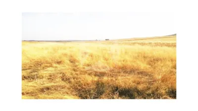 Finca rústica en venta en Sierra de Fuentes - Vista 5