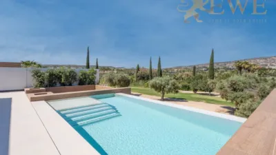Villa in Algorfa photo 22