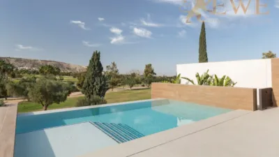 Villa in Algorfa photo 26