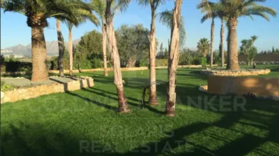 Villa in Pedreguer photo 8