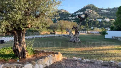 Villa in Pedreguer photo 9