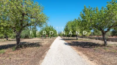 Casa en venta en Santa Maria del Camí, Santa Maria del Camí de 6.600.000 €