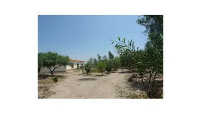 Rustic finca on Calle Los Pedregales photo 12