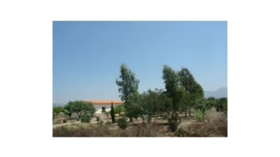 Rustic finca on Calle Los Pedregales photo 13