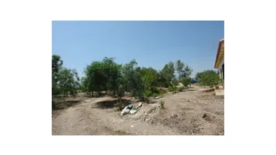 Rustic finca on Calle Los Pedregales photo 3