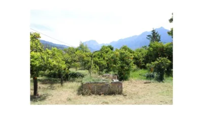 Rustic house in Sóller photo 5