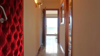 Apartment in Calella photo 10