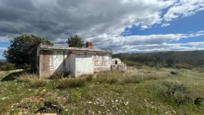 Rustic house in Altura photo 40