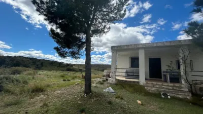 Rustic house in Altura photo 4