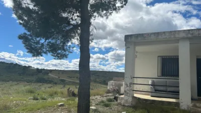 Rustic house in Altura photo 8
