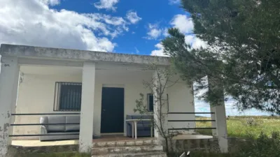 Rustic house in Altura photo 9