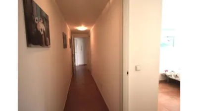 Apartment in Alcaide photo 5