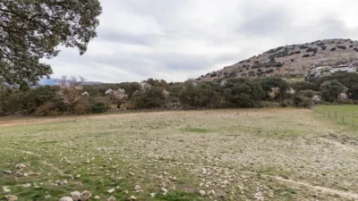 Rustic finca in Alhama de Granada photo 13