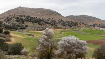 Rustic finca in Alhama de Granada photo 14