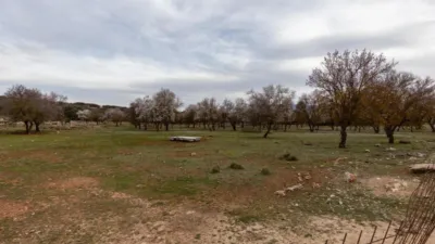 Rustic finca in Alhama de Granada photo 22