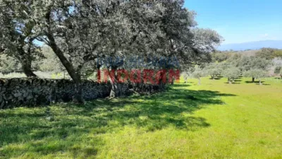 Rustic Finca in Belvís de Monroy photo 2