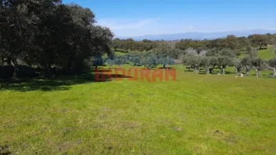 Rustic Finca in Belvís de Monroy photo 3