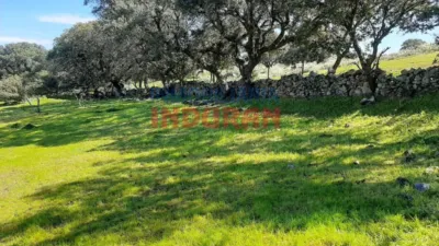 Rustic Finca in Belvís de Monroy photo 5