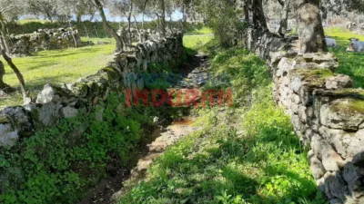 Rustic Finca in Belvís de Monroy photo 6