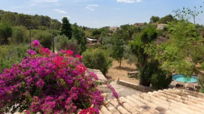 Rustic house in Alaró photo 16