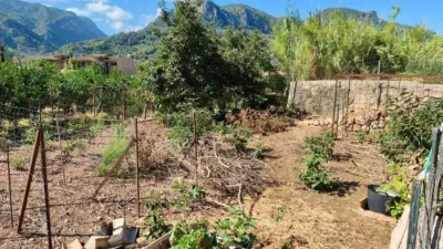 Rustic finca in Sóller photo 12