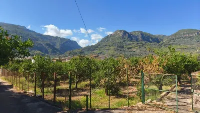 Rustic finca in Sóller photo 13