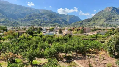 Rustic finca in Sóller photo 14