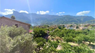 Rustic finca in Sóller photo 15