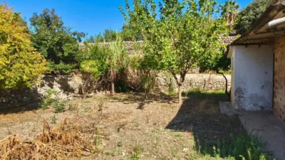 Rustic finca in Sóller photo 16