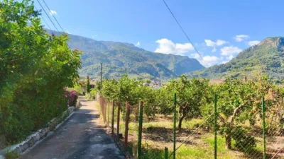 Rustic finca in Sóller photo 25