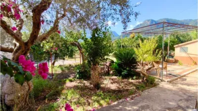 Rustic finca in Sóller photo 5