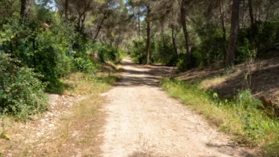 Apartment in Sol de Mallorca - Portals Vells photo 28