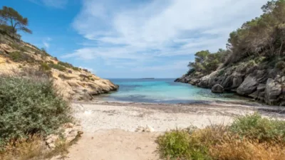 Apartment in Sol de Mallorca - Portals Vells photo 29