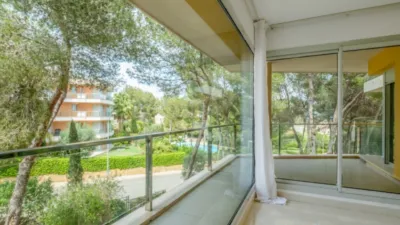 Apartment in Sol de Mallorca - Portals Vells photo 3