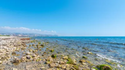 Apartment on Avenida de Alcoy, 30 photo 36