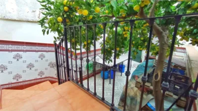 House in El Pedroso photo 16