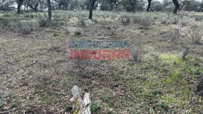 Rustic Finca in Majadas photo 10